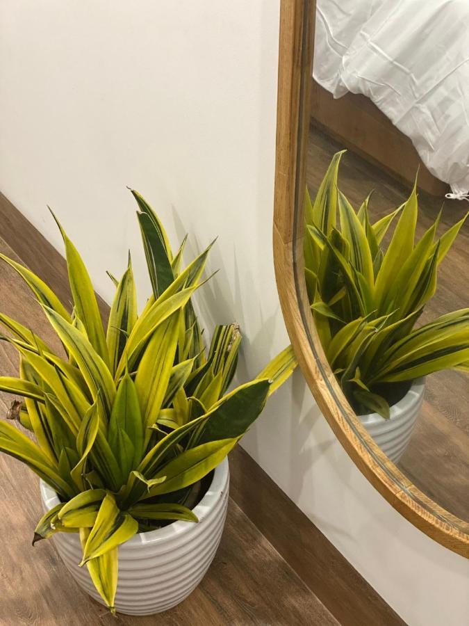 Lacovy Home Hội An Kültér fotó